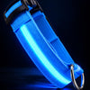 USB Rechargeable LED Dog Collar for Night Walks