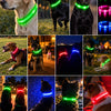 USB Rechargeable LED Dog Collar for Night Walks