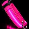 USB Rechargeable LED Dog Collar for Night Walks