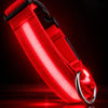 USB Rechargeable LED Dog Collar for Night Walks