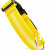 USB Rechargeable LED Dog Collar for Night Walks