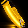 USB Rechargeable LED Dog Collar for Night Walks