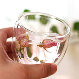 Double Wall Heat Resistant Borosilicate Glass Cup (250ml)