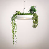 Contemporary Green Living LED Ceiling Pendant