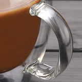 Double Wall Heat Resistant Borosilicate Glass Cup With Handle (350ml)
