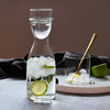 Contemporary Mono Glass Water Jug With Cup (750ml)
