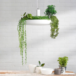 Contemporary Green Living LED Ceiling Pendant
