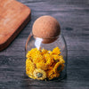 Airtight Cork Sphere Storage Borosilicate Jar (500ml)