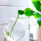Wall Hanging Terrarium Glass Flower Vase