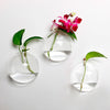 Wall Hanging Terrarium Glass Flower Vase