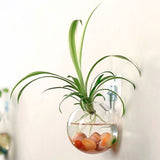 Wall Hanging Terrarium Glass Flower Vase