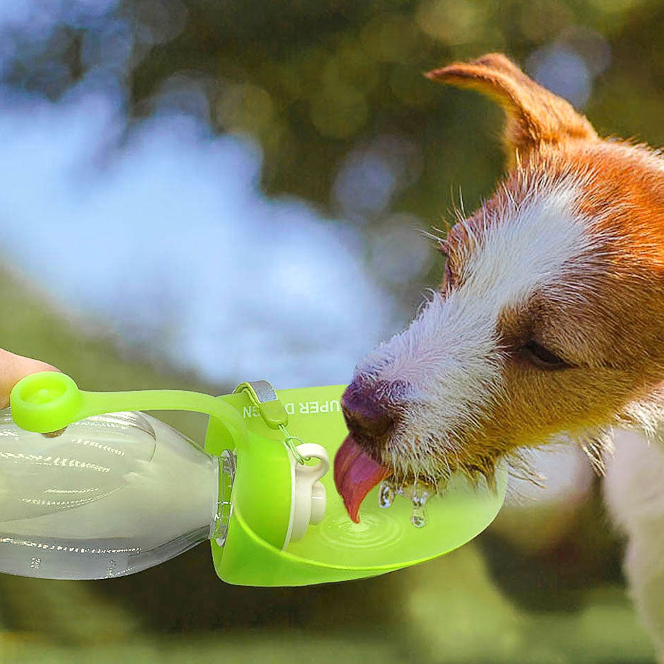 Expandable Sports Outdoor Pet Dog Water Bottle